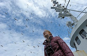 Surrounded by birds at St Kilda on Hebrides Cruises: Chris Gomersall