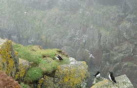 Steep cliffs of Berneray