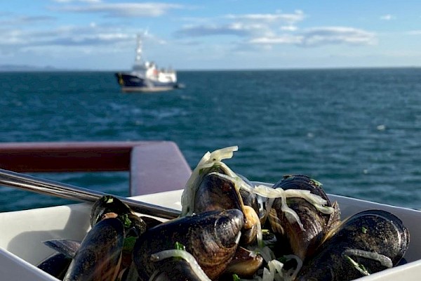 hebrides_cruises_mussels_900-1.jpg