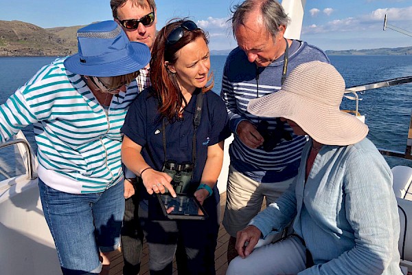 Projects and partners