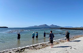 Guests taking a dip on the Isle of Muck (Taken by guide Will Smith)
