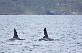 John Coe and Aquarius in the Sound of Mull